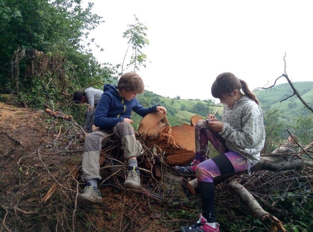 Campamento verano 2019