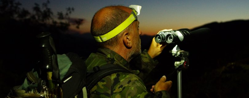 Localización de fauna