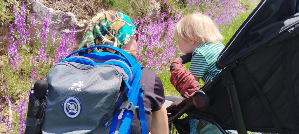 Campamento Familiar verano 2024